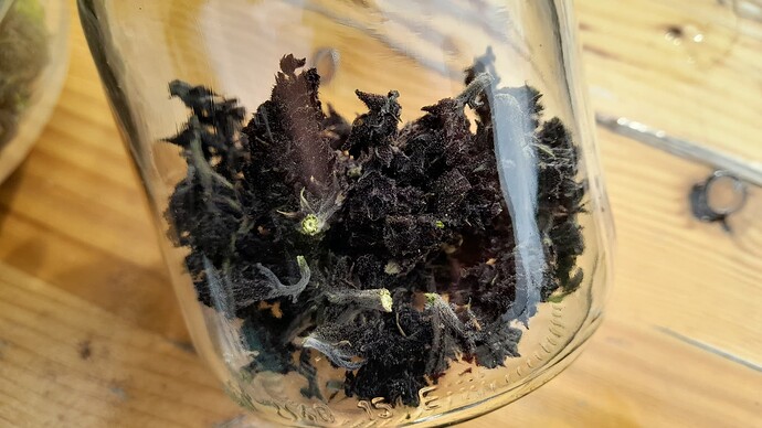 Growreport Bild 3