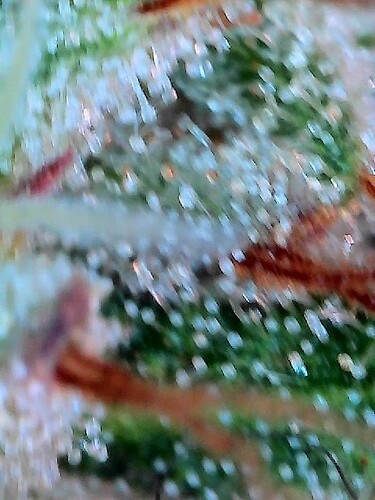 2025-07-25-20-56-58-898