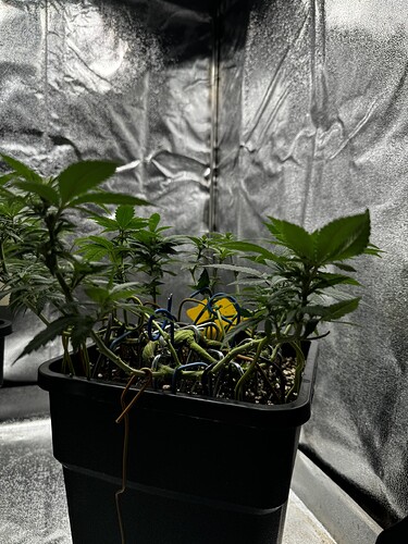 20240630_100306306_iOS