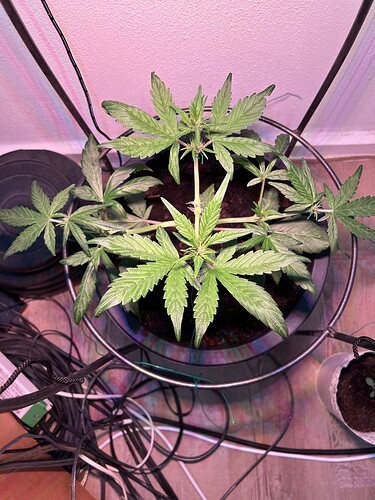 Growreport Bild 14