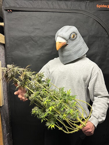 Growreport Bild 14