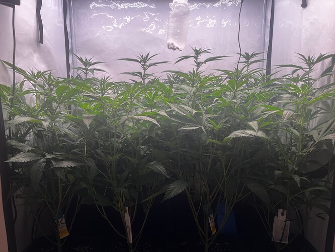 Growreport Bild 4
