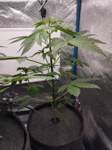 Growreport Bild 10