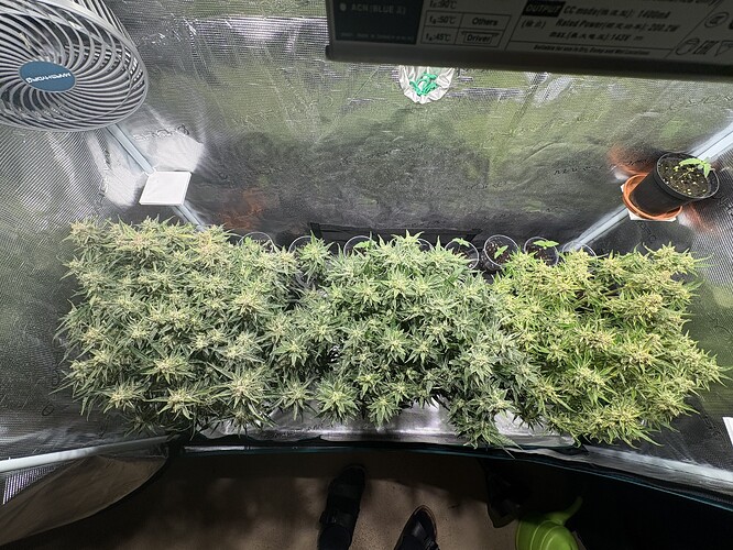 Growreport Bild 22