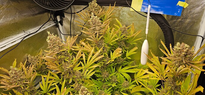 Growreport Bild 13