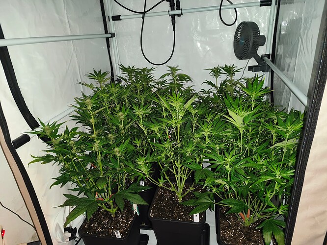 Growreport Bild 3