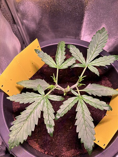 Growreport Bild 8