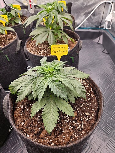 Growreport Bild 18
