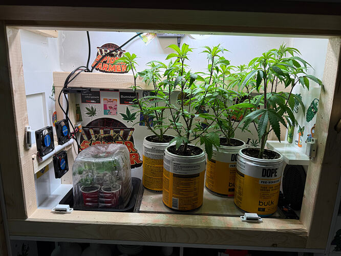 Growreport Bild 54