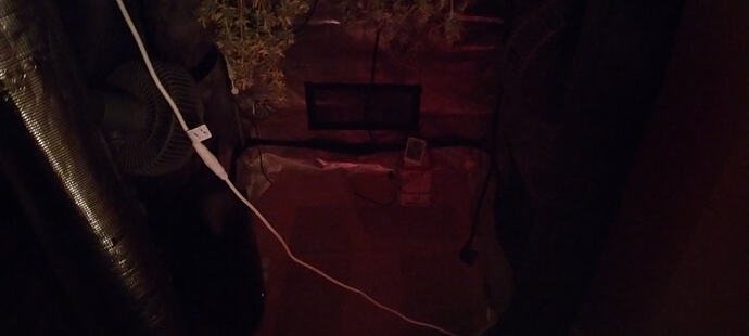 Growreport Bild 6