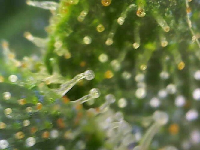 Image_2024-07-15 10_57_53_434