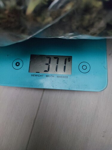 Growreport Bild 9