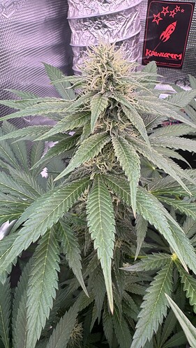 Growreport Bild 11