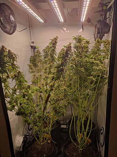 Growreport Bild 14