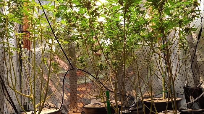 Growreport Bild 7