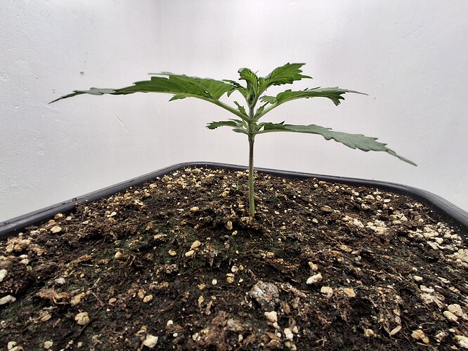 Growreport Bild 23