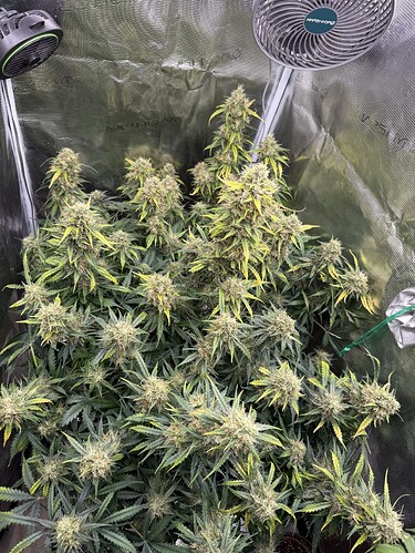 Growreport Bild 13
