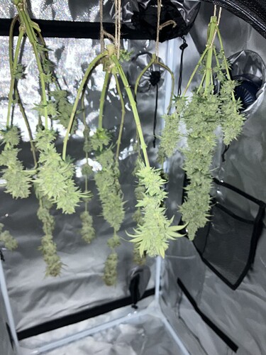 Growreport Bild 10