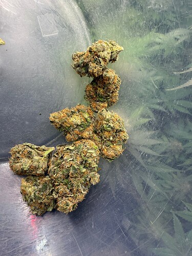 Growreport Bild 22