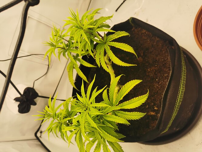 Growreport Bild 6