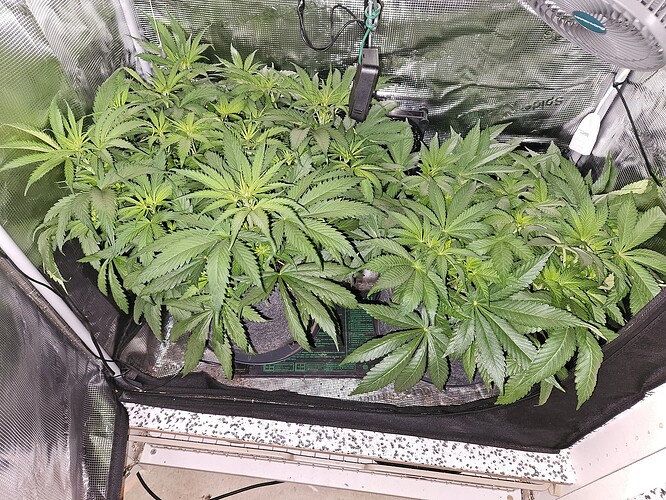 Growreport Bild 11