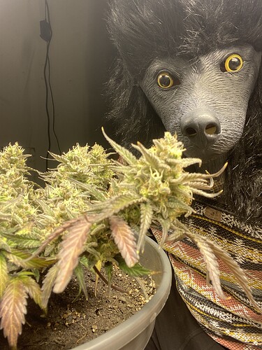 Growreport Bild 25