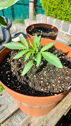 Growreport Bild 16