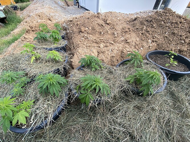 Growreport Bild 2