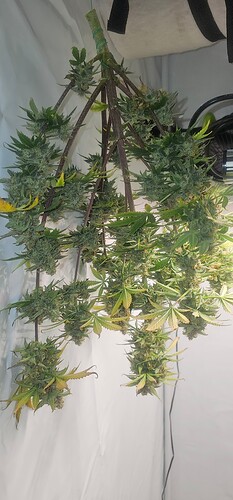 Growreport Bild 8