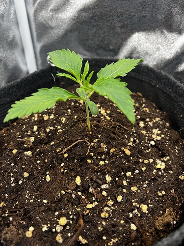 Growreport Bild 11