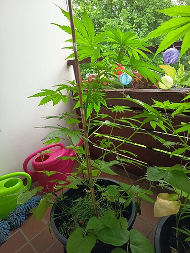 Growreport Bild 14