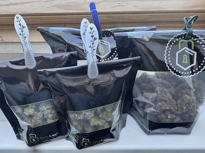 Growreport Bild 48