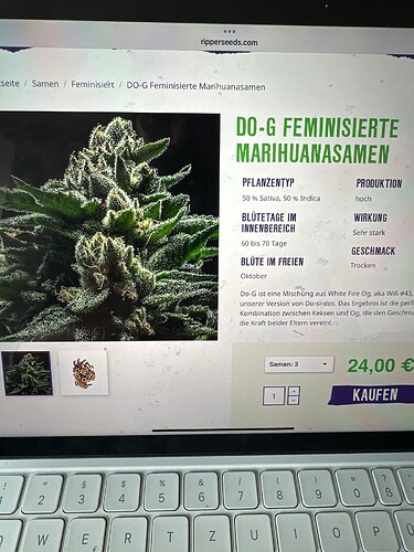 Growreport Bild 26