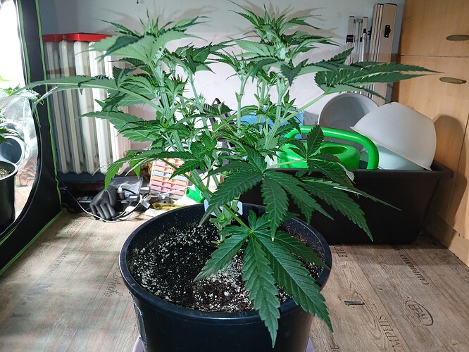 Growreport Bild 15