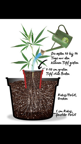 Growreport Bild 44