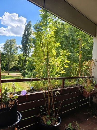 Growreport Bild 2