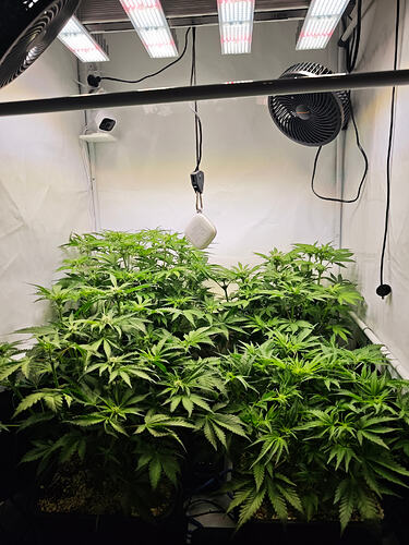 Growreport Bild 27