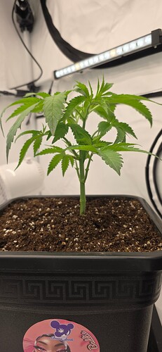 Growreport Bild 23