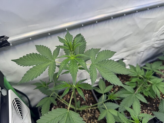 Growreport Bild 11