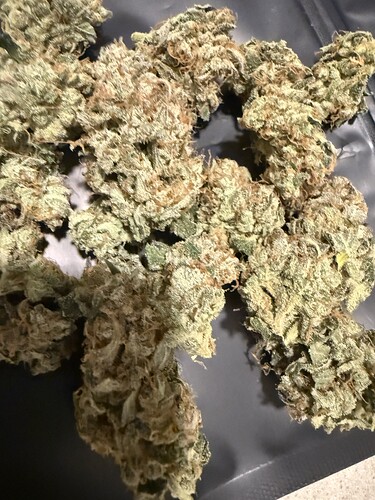 Growreport Bild 7