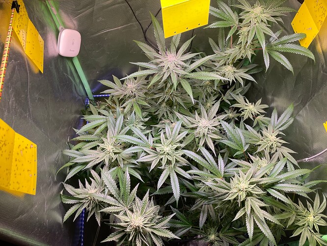 Growreport Bild 24