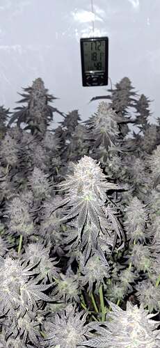 Growreport Bild 26