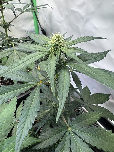 Growreport Bild 23