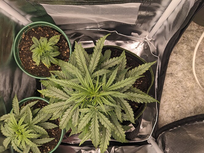 PXL_20240515_222616300