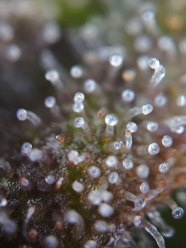 MVIMG_20251130_223205