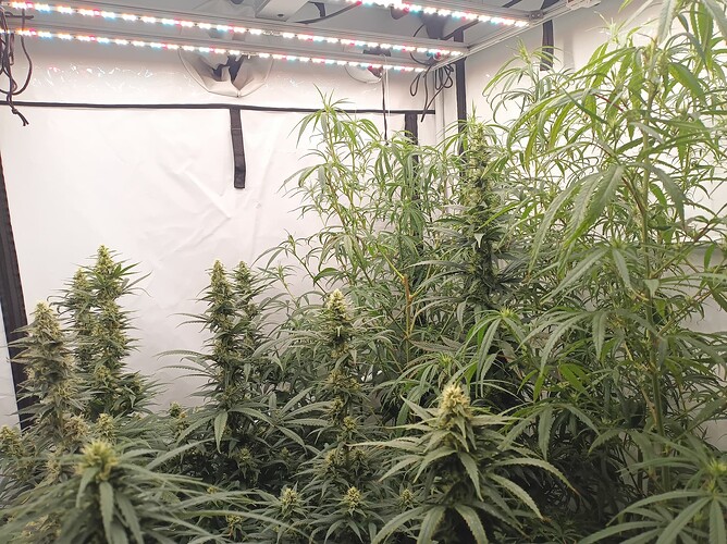 Growreport Bild 16