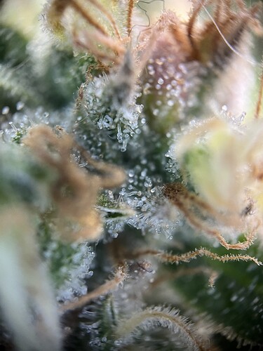 Growreport Bild 19