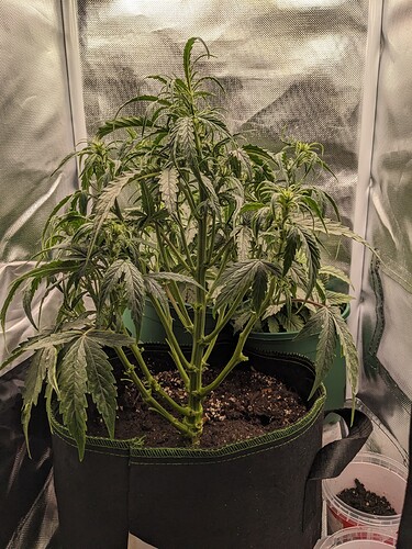 PXL_20240519_230052197