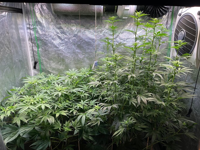 Growreport Bild 2