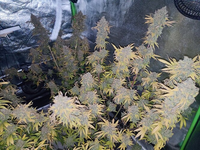 Growreport Bild 21